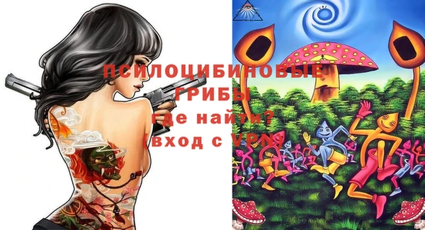 спиды Коряжма