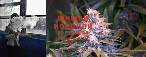 ALPHA PVP Корсаков