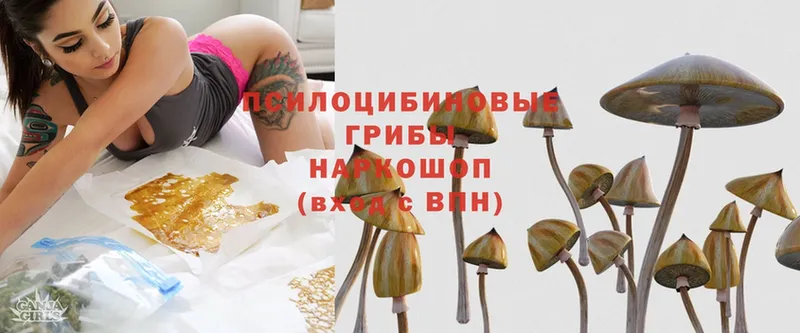 наркотики  ссылка на мегу ССЫЛКА  Галлюциногенные грибы MAGIC MUSHROOMS  Миасс 