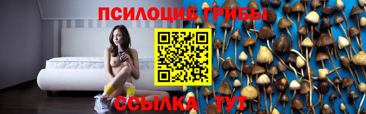Псилоцибиновые грибы Psilocybe  Вход с VPN  Галлюциногенные грибы Psilocybe  Миасс 